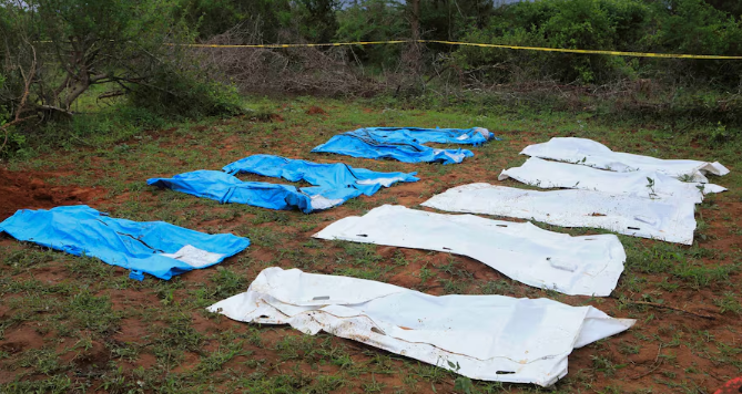 Bodies from a cult operation